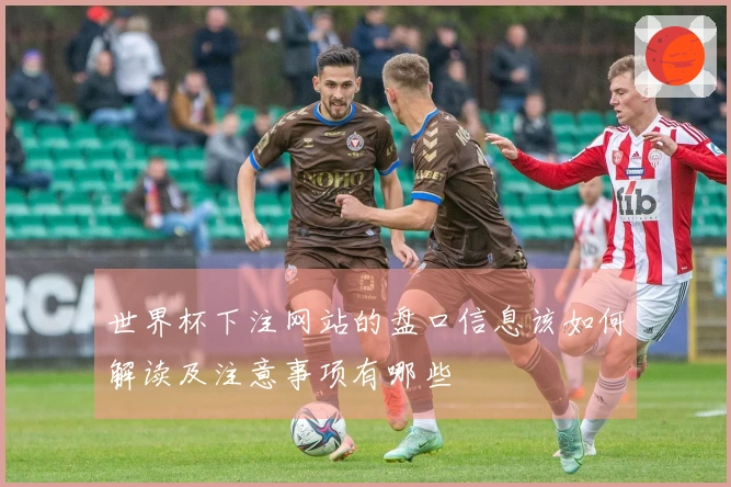 世界杯下注网站的盘口信息该如何解读及注意事项有哪些