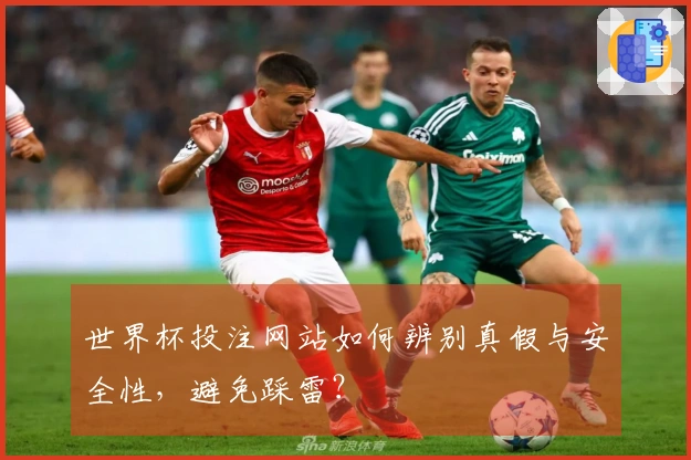 世界杯投注网站如何辨别真假与安全性,避免踩雷?