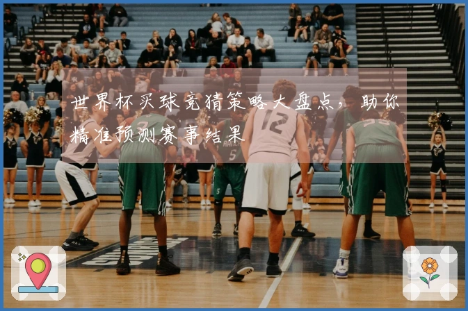 世界杯买球竞猜策略大盘点，助你精准预测赛事结果
