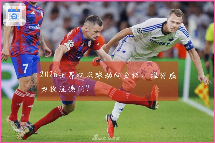 2026世界杯买球动向分析，谁将成为投注热门？