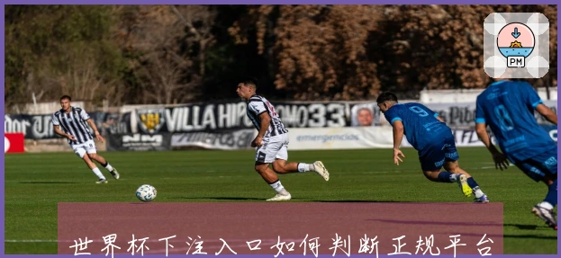 世界杯下注入口如何判断正规平台？新手赛前准备必看指南