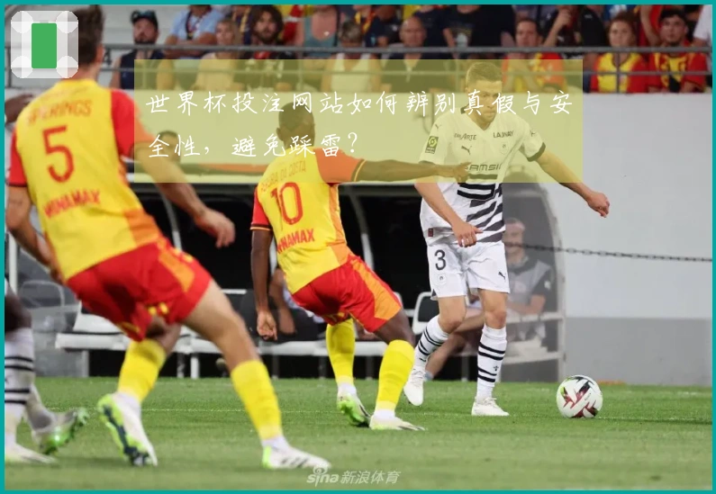 世界杯投注网站如何辨别真假与安全性，避免踩雷？