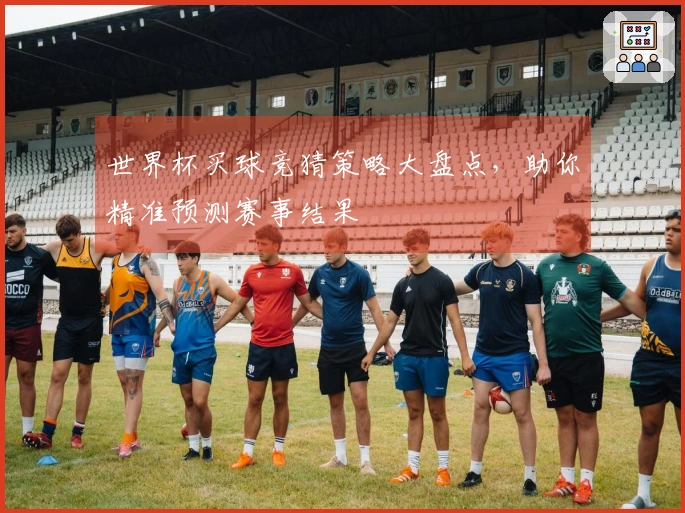 世界杯买球竞猜策略大盘点，助你精准预测赛事结果