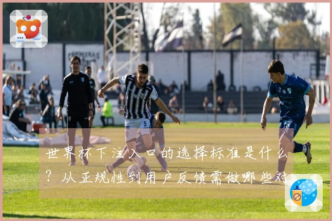 世界杯下注入口的选择标准是什么？从正规性到用户反馈需做哪些对比分析