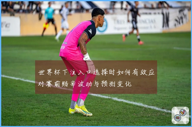 世界杯下注入口选择时如何有效应对赛前赔率波动与预测变化