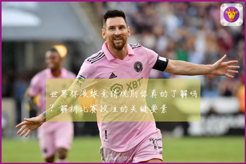 世界杯滚球竞猜规则你真的了解吗？解析比赛投注的关键要素