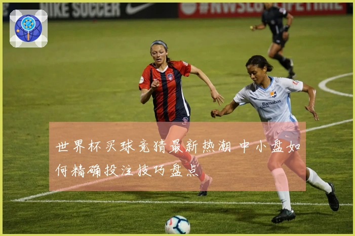 世界杯买球竞猜最新热潮 中小盘如何精确投注技巧盘点